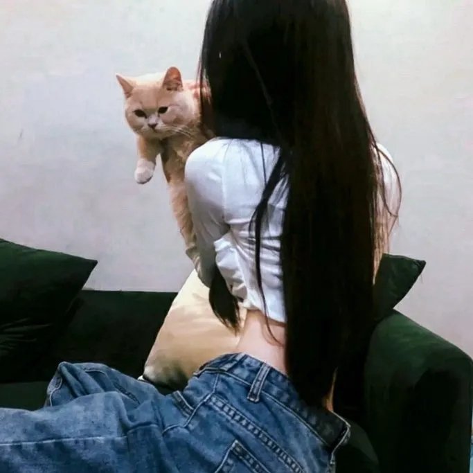八犬传：东方八犬异闻